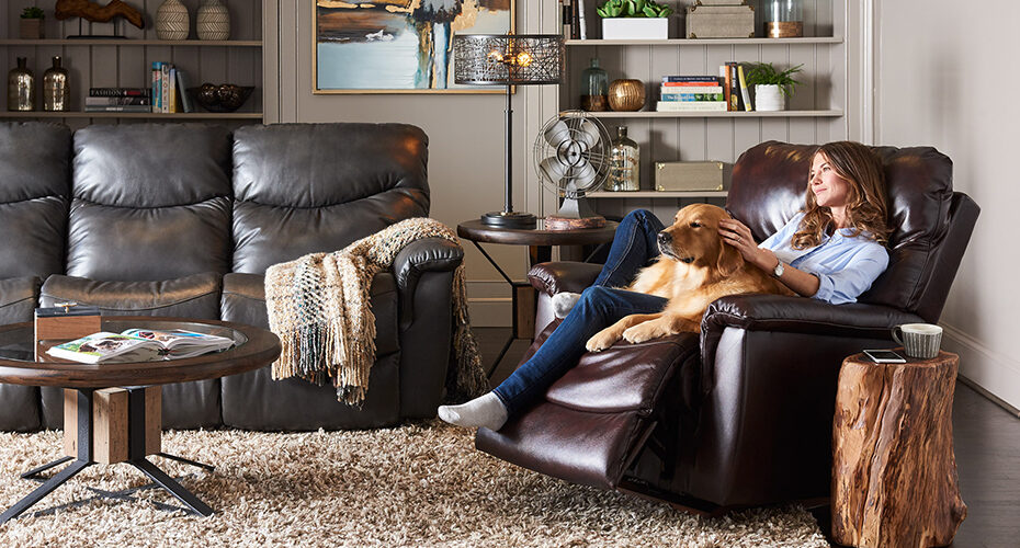 Why Is Leather Furniture Great For Pets, Is Leather Furniture Good